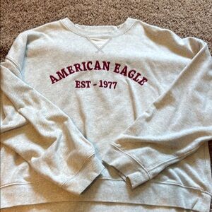 American Eagle Outfitters Gray Crewneck Sweater Large